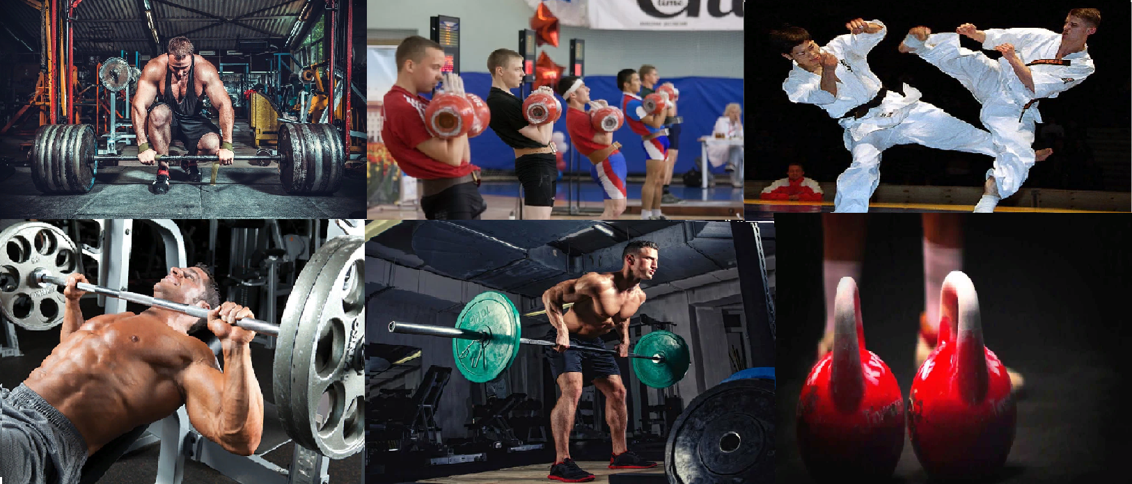 Силовые виды спорта и единоборства