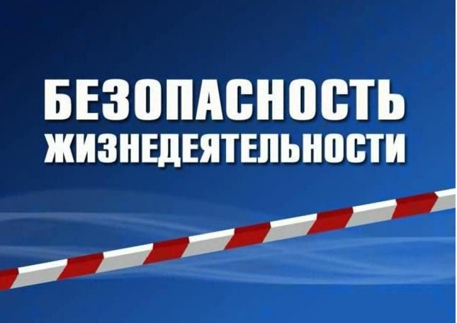 Безопасность жизнедеятельности