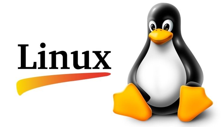OC Linux в профессиональной деятельности (72 ч.)