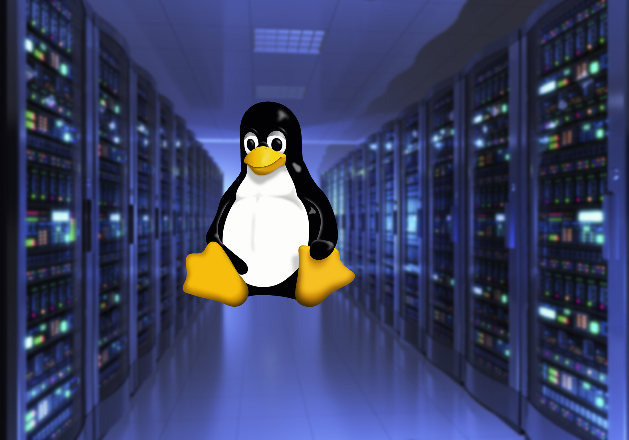 Основы работы с операционной системой Linux (16 ч.)