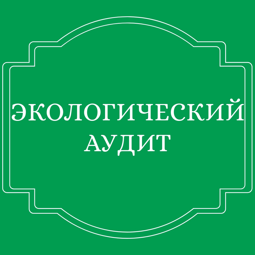 Экологический аудит
